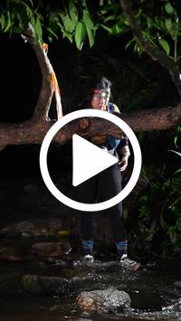 BIB:  <button type="button" onclick="openModal(27511930)" class="btn btn-primary btn-sm float-right" data-toggle="modal" data-target=".modal-high-quality">
                <i class="fa fa-download"></i> Download
                </button>